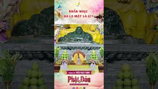 Nhẫn nhục ba la mật là gì? #thaythichdaothinh #chuakhainguyen #balamat #nhannhuc #tinhdotong