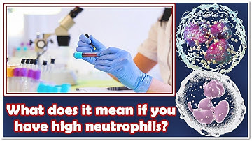 Neutrophils Absolute Count – High, Low (Causes), Normal Range