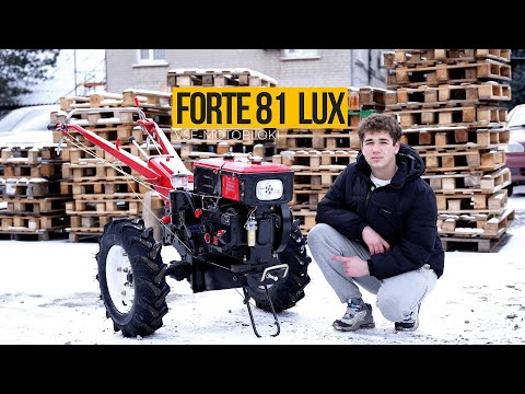 Відеоогляд аналога — FORTE МД-81 LUX