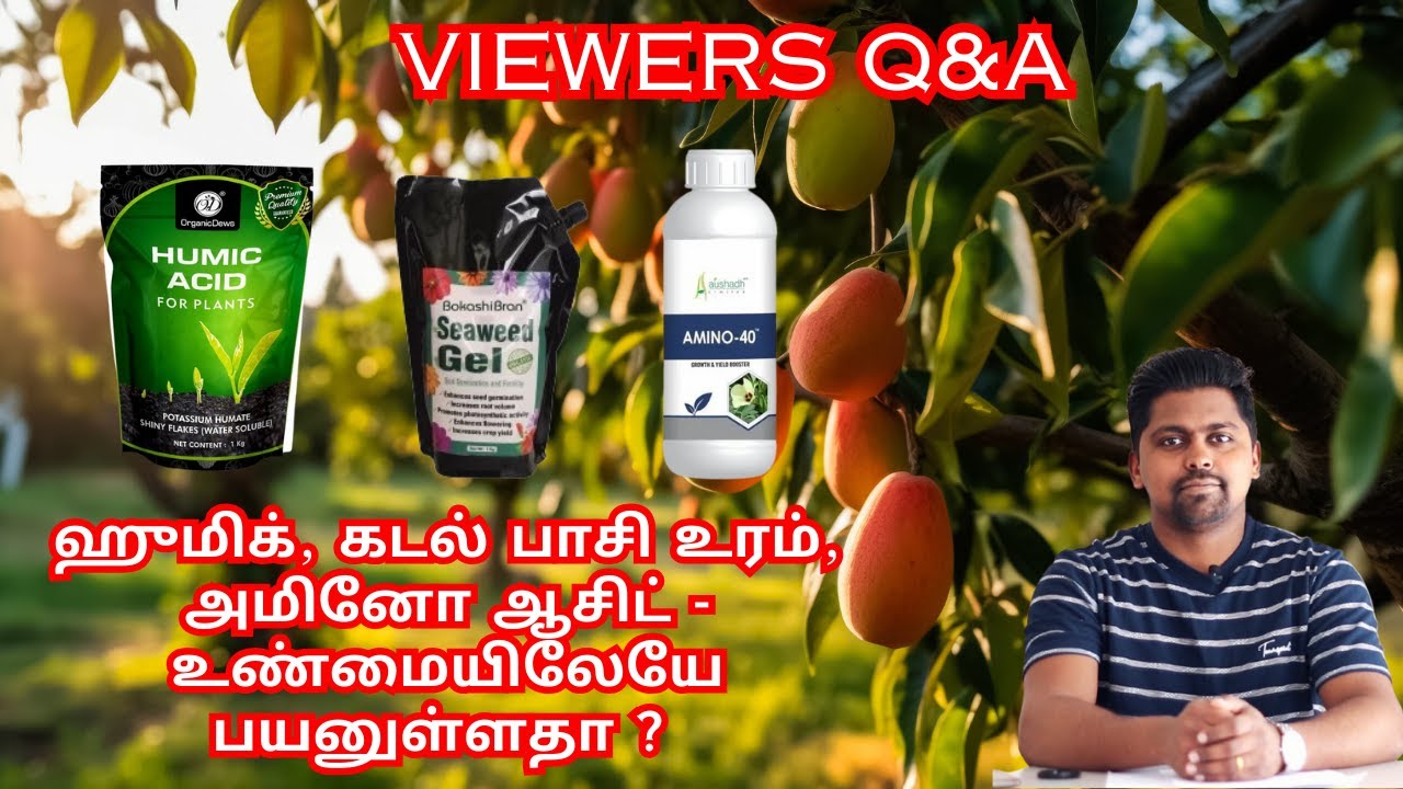 ஹுமிக், கடல் பாசி உரம், அமினோ ஆசிட் போன்றவை உண்மையிலேயே பயனுள்ளதா ? | VIEWERS Q&A