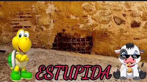 Estúpida - Koopa & Vaca Fumandose Un Puro (Oficial Video)