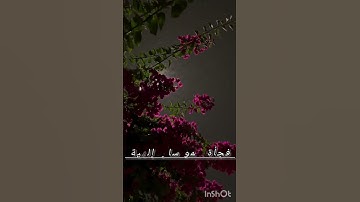 #وَلَهُ مَا سَكَنَ فِي اللَّيْلِ وَالنَّهَارِ وَهُوَ السَّمِيعُ الْعَلِيمُ# سورة الأنعام - الآية 13