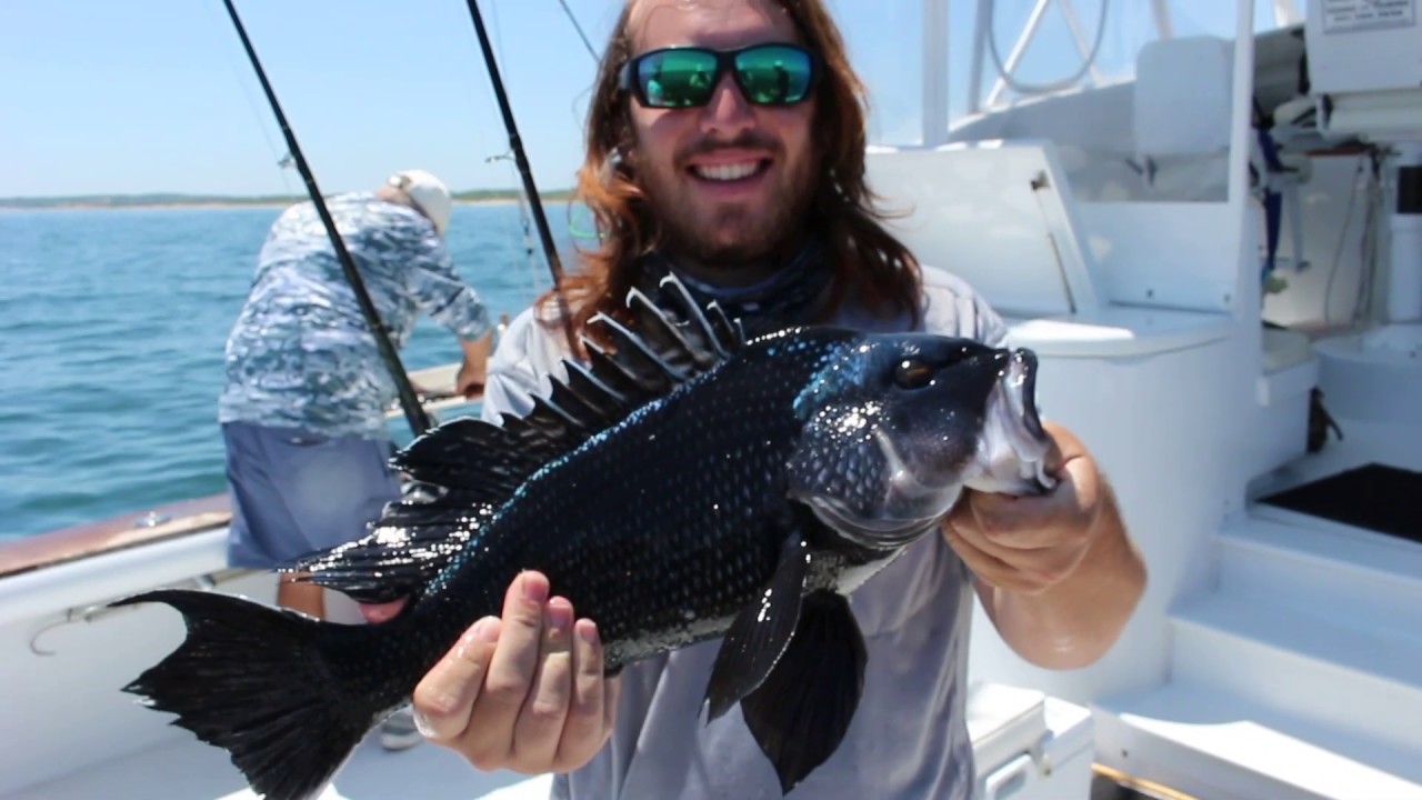 Rhode Island Inshore Fishing YouTube