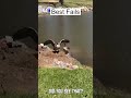 Funny Fails 😱 #funny #funnyfails #funnyvideo #comedy #failgag