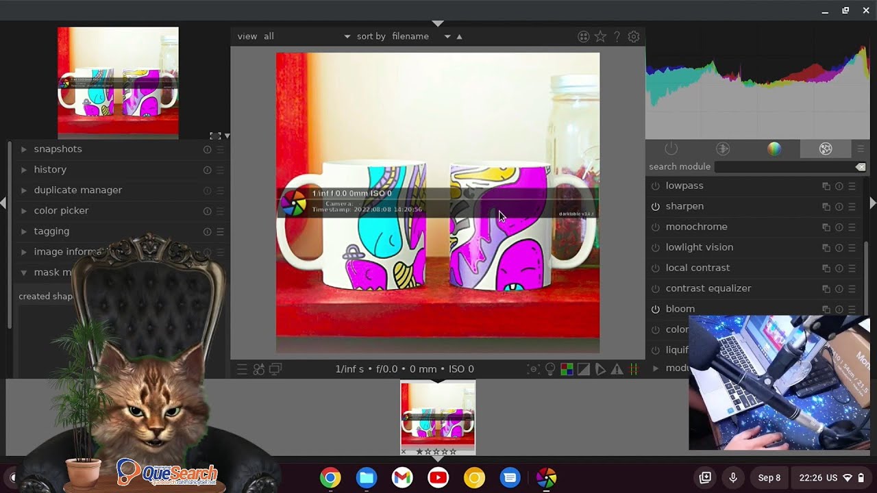 Darktable Linux Alternatif Lightroom di Samsung Chromebook 4 untuk Edit Foto DSLR RAW / Gambar