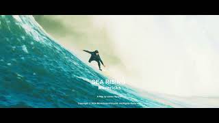 Watch Sea Rising: Mavericks Trailer