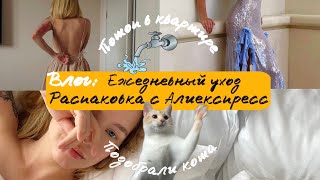 Влог: распаковка одежды с AliExpress, в три раза дешевле ?😱 Ежедневный уход, взяли с улицы кота 🐈