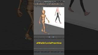 Walk Cycle Practice using #animationreference @endlessreference