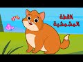 اغنية القطه المشمشيه حلوه بس شقيه اغاني اطفال طمطوم 