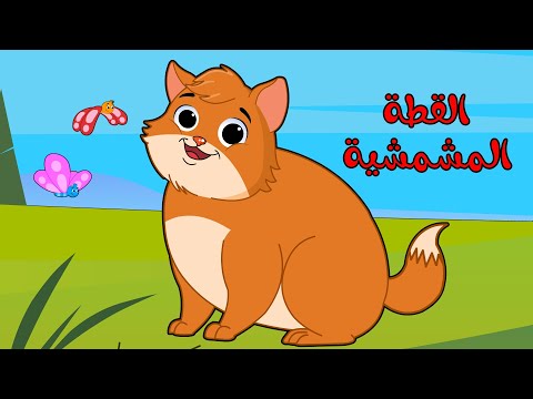 اغنية القطه المشمشيه حلوه بس شقيه اغاني اطفال طمطوم