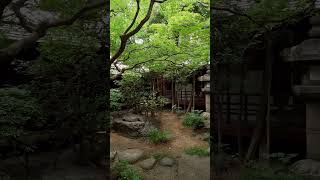 八竹庵・京都　Hachiku-an Kyoto