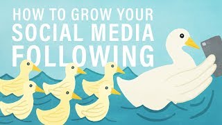 How to Grow Your Social Media Following