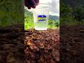 “Watch Temporary Glass Burn in Water – Smart Disposal Hack!”