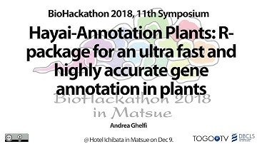 Hayai-Annotation Plants: R-package for an ultra fast and highly accurate gene annotation in plants