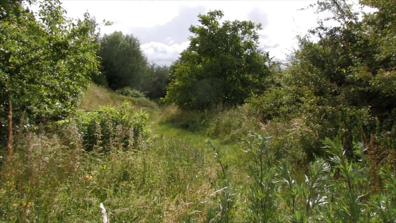 Północny eko pomocnik odc 3 Człowieku Posuń się Przyroda w mieście