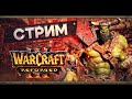 Warcraft 3 reforged  wellhated quick cup 9     tgw 11  2024 