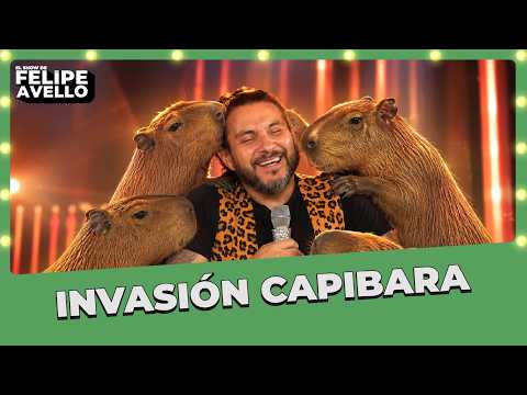 ''INVASIÓN CAPIBARA'' - Felipe Avello en vivo desde Puerto Varas 2025