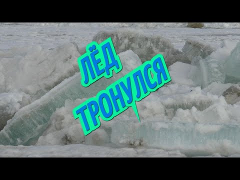 ЛЁД ТРОНУЛСЯ! ОКА ПОШЛА! КРАСОТИЩААА! ТАКОЕ УВИДИШЬ ОЧЕНЬ РЕДКО! НЕ ЗАБЫВАЕМОЕ ЗРЕЛИЩЕ!