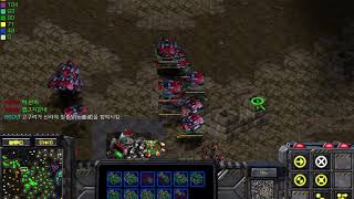 초원의바람2 당나라 플레이 20190819