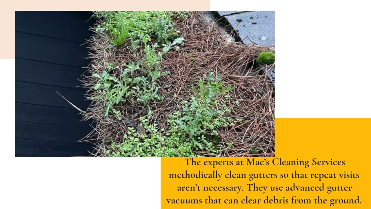 Contact This Roofing Specialist For Professional Gutter Cleaning & Debris Removal In Barwell, UK