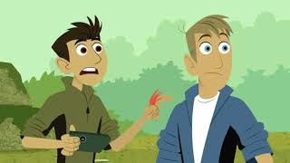 Wild Kratts S05EP02 Temple of Tigers
The Kratts search for the tiger, the worlds most powerful wildcat. Wild Kratts S05EP02 Temple of Tigers