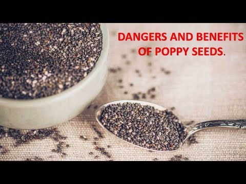 Dangers and Benefits of Poppy Seeds