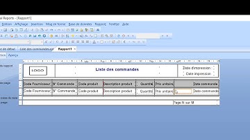 04- Crystal Reports 2008 Tutorial : Champs de formule