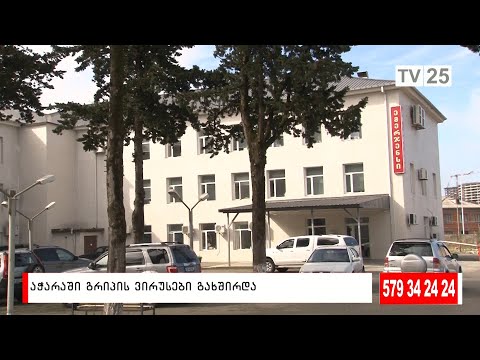 აჭარაში გრიპის ვირუსები გახშირდა