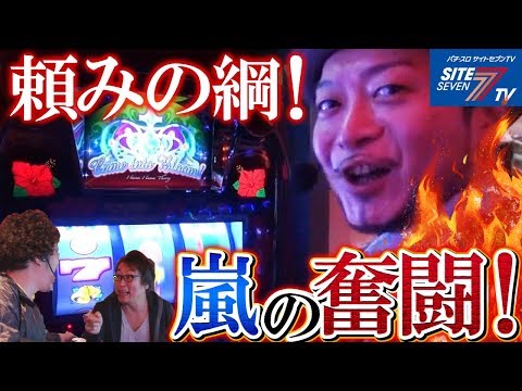 【頼みの綱！嵐の奮闘！】スロモンＴＡＧ #028【パチスロ】【クイーンハナハナ】【マジカルハロウィン４】