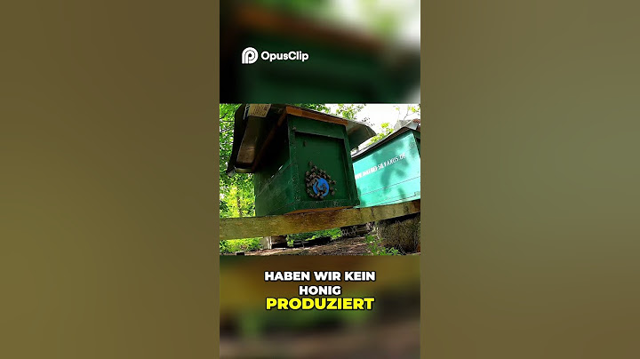 Bienenzucht in/aus der Eifel  Unsere ersten Schritte!  #imkerei #honig #bienenzucht