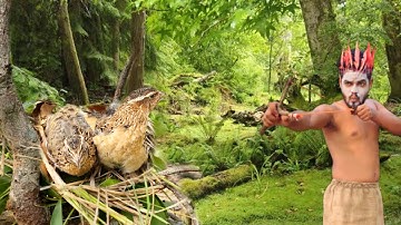 Primitive Technology: Finding Quail Bird in the Forest and Cooking