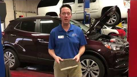 Why Is It Important To Change Your Cabin Air Filter??