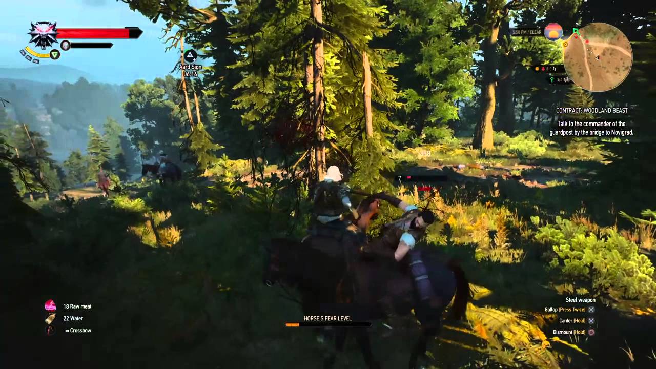 KonaBoda Plays The Witcher 3: Wild Hunt - Part 245