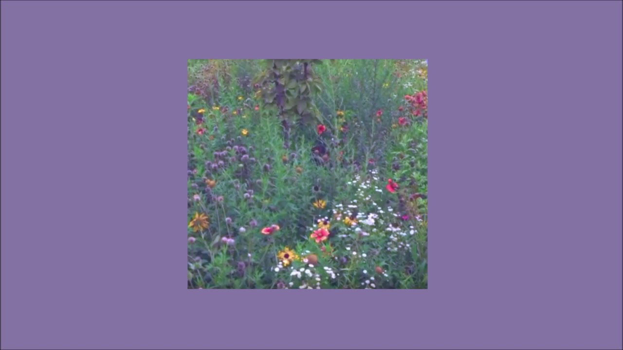 Lana Del Rey Cinnamon Girl ♡ Slowed YouTube