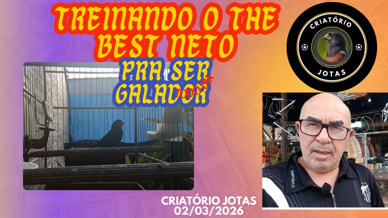 Iniciando o treino do The Best Neto pra Cruzar!