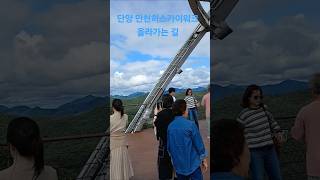 단양 만천하스카이워크 올라가는 길 #travel #여행 #임영웅 #힐링영상 #단양