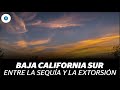 Baja California Sur, entre la sequía y la extorsión | Reporte Índigo