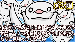 【メン限】【#作業雑談】飼い主さんたちに見張ってもらうで【両生類系人外VTuber/半崎ウイネコ】