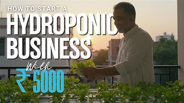 Start Hydroponic Farming Under ₹5,000: Step-by-Step Beginner
