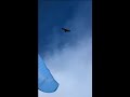 Paragliding and ski combo