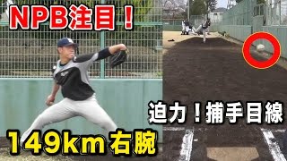 【NPB注目逸材】独立リーグに潜入！149kmの直球を捕手目線・・武蔵ヒートベアーズ
