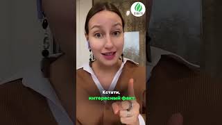 В чём #польза #хлорофилл? #жкт #вирусы #иммунитет #самочувствие #вес #худетьбездиет #клетчатка #зож