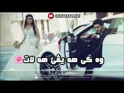 رابن زافا هات وةكي هه يفي هة لات