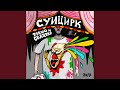Суицирк Суицирк