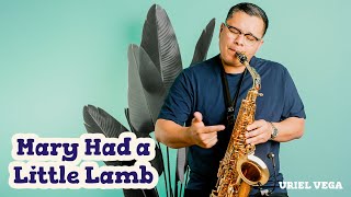Mary Had a Little Lamb | My Lullaby Instrumental | #saxophone
Mary Had a Little Lamb | My Lullaby Instrumental
BUY ME A COFFEE:
https://www.buymeacoffee.com/UrielVega
TRACKS/PISTAS: https://urielvegamusic.com/tracks-pistas
AVAILABLE ON ALL DIGITAL STORES
SUBSCRIBE
Please Listen on :
Spotify : https://tinyurl.com/urielspotify
Website : https://urielvegamusic.com
Please FOLLOW ME on :
Facebook : https://www.facebook.com/urielvegamusic/
Twitter : https://twitter.com/urielvega
Instagram : https://instagram.com/urielvega
...........................................................................................
Download Here:
https://urielvega.bandcamp.com
Dont forget to Like & Share my music if you enjoy it!
THANK YOU !!!
This inspiring, anointed & relaxing music can be used as background music, meditation music, worship music, relaxation music, prayer music, healing music or as music for stress relief. Saxophone music, guitar music, piano music, harp music.
Meditation Music, Prayer Music, Soft Music, Healing Music, Worship Music, Study Music.
#saxophone
#lullabiesforbabies
#instrumental Mary Had a Little Lamb | My Lullaby Instrumental | #saxophone