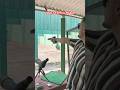 25m STD fire pistol shooting with Pardini SP 22 | Trigger Tap 🇮🇳 #pardini #shooting #25m