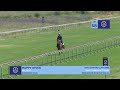 Lot 58 - HAPPY WIVES  - CANFORD CLIFFS (IRE) x THREE BLUE CRANES - 22 October 2023