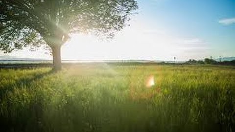 Delightful Self Esteem Quotes - Increase Your Self Esteem Every Day