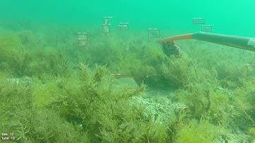 G000045 L detections h264