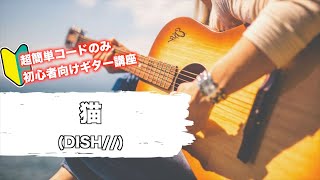 猫/DISH//を簡単ギターコードのみで弾くには？初心者向け